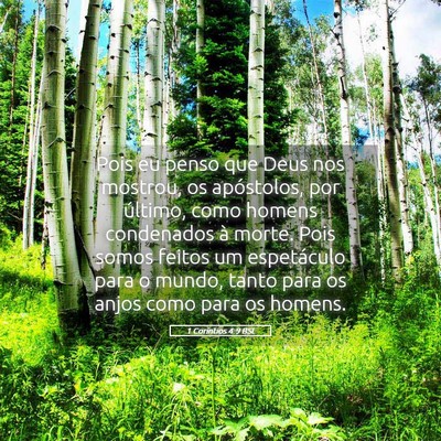 Picture 05 - 1 Coríntios 4:9 BSL - Pois eu penso que Deus nos mostrou, os - Bible Verse Picture