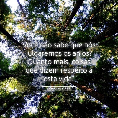 Picture 05 - 1 Coríntios 6:3 BSL - Você não sabe que nós julgaremos os anjos? - Bible Verse Picture