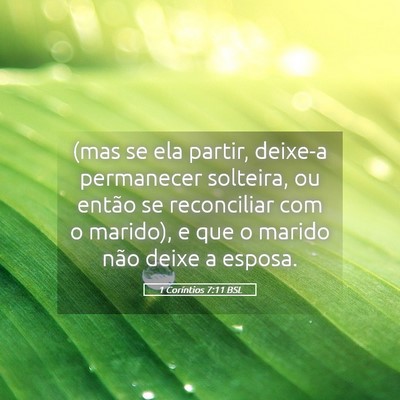 Picture 05 - 1 Coríntios 7:11 BSL - (mas se ela partir, deixe-a permanecer solteira, - Bible Verse Picture