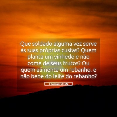 Picture 05 - 1 Coríntios 9:7 BSL - Que soldado alguma vez serve às suas próprias - Bible Verse Picture