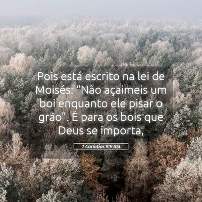 Picture 05 - 1 Coríntios 9:9 BSL - Pois está escrito na lei de Moisés: “Não - Bible Verse Picture