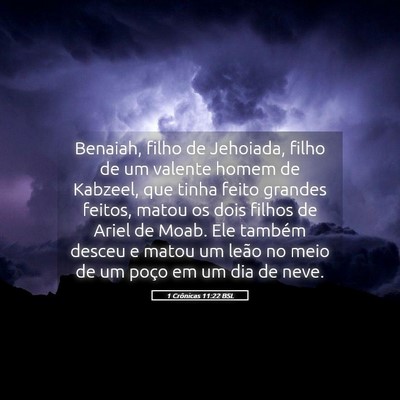 Picture 05 - 1 Crônicas 11:22 BSL - Benaiah, filho de Jehoiada, filho de um valente - Bible Verse Picture