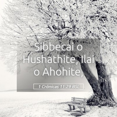 Picture 05 - 1 Crônicas 11:29 BSL - Sibbecai o Hushathite, Ilai o - Bible Verse Picture