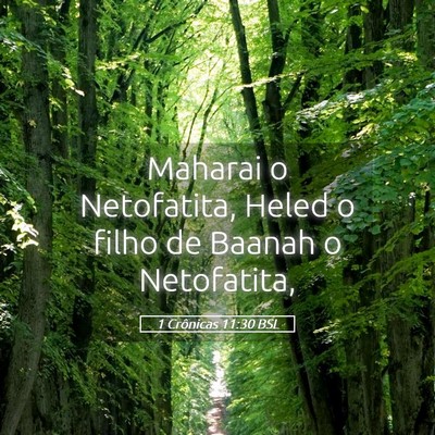 Picture 05 - 1 Crônicas 11:30 BSL - Maharai o Netofatita, Heled o filho de Baanah o - Bible Verse Picture