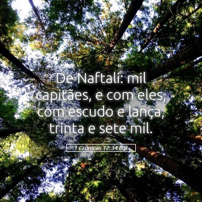 Picture 05 - 1 Crônicas 12:34 BSL - De Naftali: mil capitães, e com eles, com escudo - Bible Verse Picture
