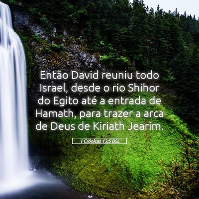 Picture 05 - 1 Crônicas 13:5 BSL - Então David reuniu todo Israel, desde o rio - Bible Verse Picture