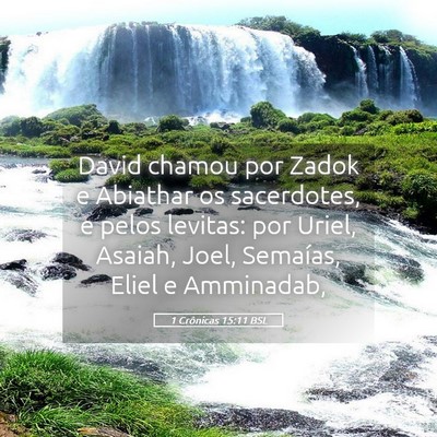 Picture 05 - 1 Crônicas 15:11 BSL - David chamou por Zadok e Abiathar os sacerdotes, - Bible Verse Picture