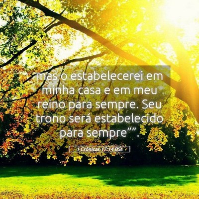 Picture 05 - 1 Crônicas 17:14 BSL - mas o estabelecerei em minha casa e em meu reino - Bible Verse Picture