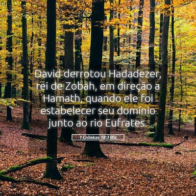 Picture 05 - 1 Crônicas 18:3 BSL - David derrotou Hadadezer, rei de Zobah, em - Bible Verse Picture