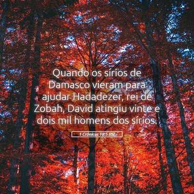 Picture 05 - 1 Crônicas 18:5 BSL - Quando os sírios de Damasco vieram para ajudar - Bible Verse Picture