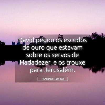 Picture 05 - 1 Crônicas 18:7 BSL - David pegou os escudos de ouro que estavam sobre - Bible Verse Picture