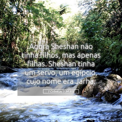 Picture 05 - 1 Crônicas 2:34 BSL - Agora Sheshan não tinha filhos, mas apenas - Bible Verse Picture