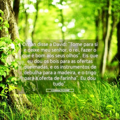 Picture 05 - 1 Crônicas 21:23 BSL - Ornan disse a David: “Tome para si e deixe meu - Bible Verse Picture
