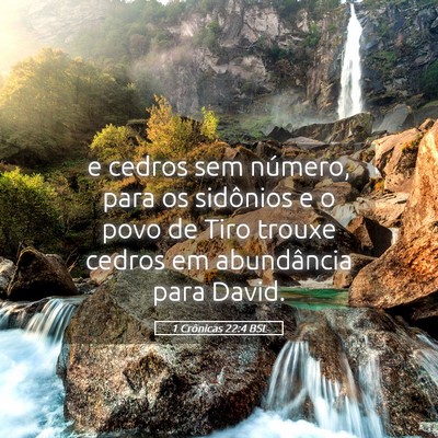 Picture 05 - 1 Crônicas 22:4 BSL - e cedros sem número, para os sidônios e o povo - Bible Verse Picture