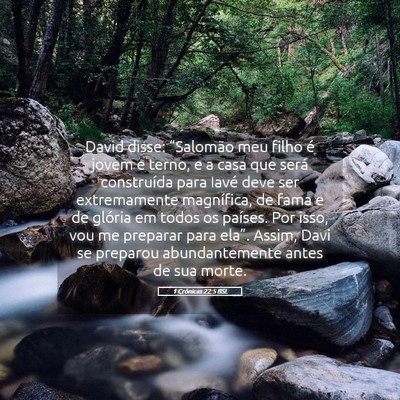 Picture 05 - 1 Crônicas 22:5 BSL - David disse: “Salomão meu filho é jovem e - Bible Verse Picture