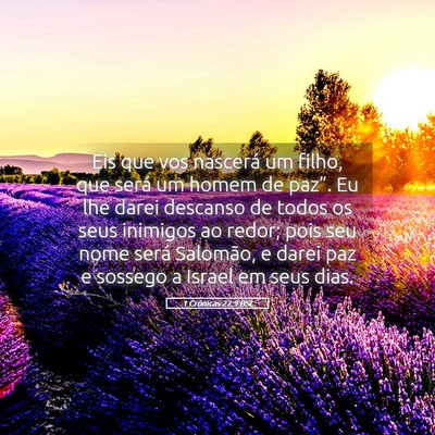 Picture 05 - 1 Crônicas 22:9 BSL - Eis que vos nascerá um filho, que será um homem - Bible Verse Picture