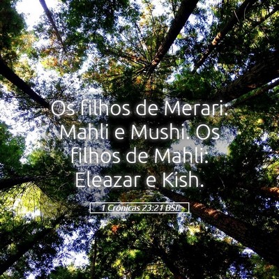 Picture 05 - 1 Crônicas 23:21 BSL - Os filhos de Merari: Mahli e Mushi. Os filhos de - Bible Verse Picture