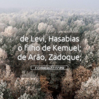 Picture 05 - 1 Crônicas 27:17 BSL - de Levi, Hasabias o filho de Kemuel; de Arão, - Bible Verse Picture