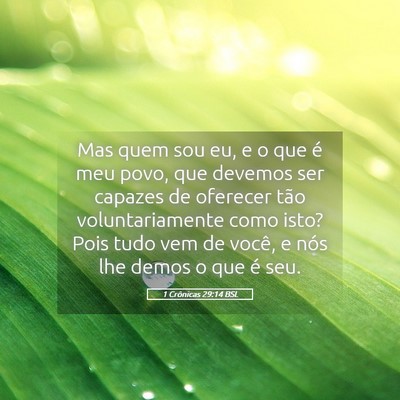 Picture 05 - 1 Crônicas 29:14 BSL - Mas quem sou eu, e o que é meu povo, que devemos - Bible Verse Picture