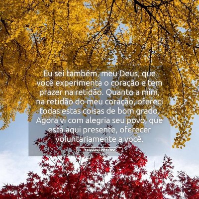 Picture 05 - 1 Crônicas 29:17 BSL - Eu sei também, meu Deus, que você experimenta o - Bible Verse Picture