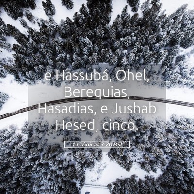Picture 05 - 1 Crônicas 3:20 BSL - e Hassubá, Ohel, Berequias, Hasadias, e Jushab - Bible Verse Picture