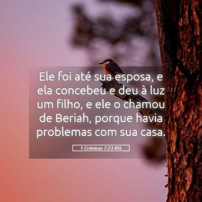 Picture 05 - 1 Crônicas 7:23 BSL - Ele foi até sua esposa, e ela concebeu e deu à - Bible Verse Picture