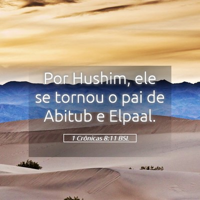 Picture 05 - 1 Crônicas 8:11 BSL - Por Hushim, ele se tornou o pai de Abitub e - Bible Verse Picture