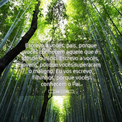 Picture 05 - 1 João 2:13 BSL - Escrevo a vocês, pais, porque vocês conhecem - Bible Verse Picture
