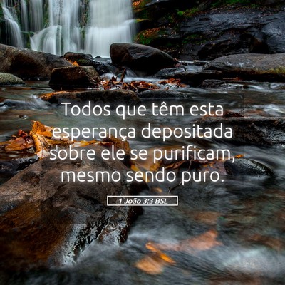 Picture 05 - 1 João 3:3 BSL - Todos que têm esta esperança depositada sobre - Bible Verse Picture