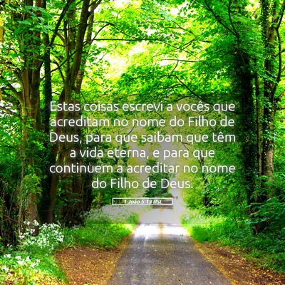 Picture 05 - 1 João 5:13 BSL - Estas coisas escrevi a vocês que acreditam no - Bible Verse Picture