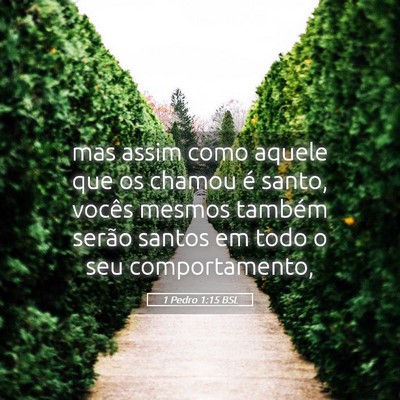 Picture 05 - 1 Pedro 1:15 BSL - mas assim como aquele que os chamou é santo, - Bible Verse Picture
