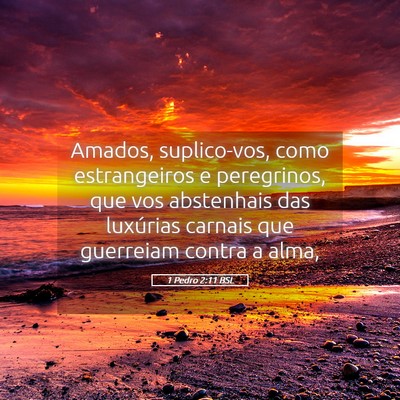 Picture 05 - 1 Pedro 2:11 BSL - Amados, suplico-vos, como estrangeiros e - Bible Verse Picture