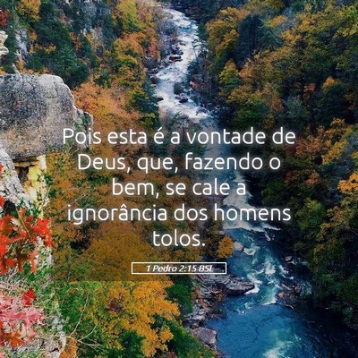 Picture 05 - 1 Pedro 2:15 BSL - Pois esta é a vontade de Deus, que, fazendo o - Bible Verse Picture
