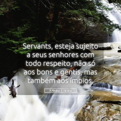 Picture 05 - 1 Pedro 2:18 BSL - Servants, esteja sujeito a seus senhores com todo - Bible Verse Picture