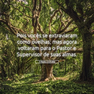 Picture 05 - 1 Pedro 2:25 BSL - Pois vocês se extraviaram como ovelhas; mas - Bible Verse Picture