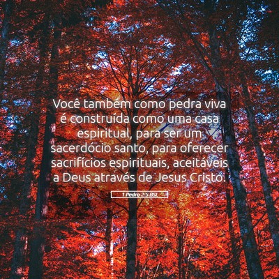 Picture 05 - 1 Pedro 2:5 BSL - Você também como pedra viva é construída como - Bible Verse Picture