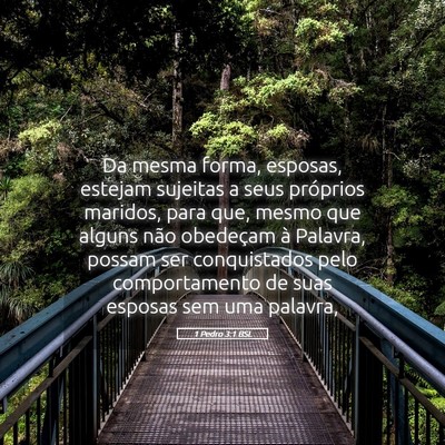 Picture 05 - 1 Pedro 3:1 BSL - Da mesma forma, esposas, estejam sujeitas a seus - Bible Verse Picture
