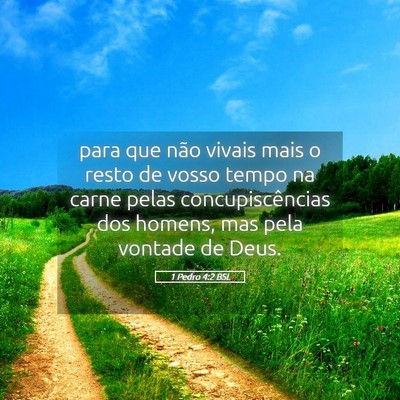 Picture 05 - 1 Pedro 4:2 BSL - para que não vivais mais o resto de vosso tempo - Bible Verse Picture