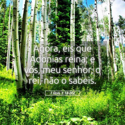 Picture 05 - 1 Reis 1:18 BSL - Agora, eis que Adonias reina; e vós, meu senhor, - Bible Verse Picture