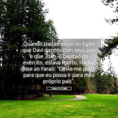 Picture 05 - 1 Reis 11:21 BSL - Quando Hadad ouviu no Egito que Davi dormiu com - Bible Verse Picture
