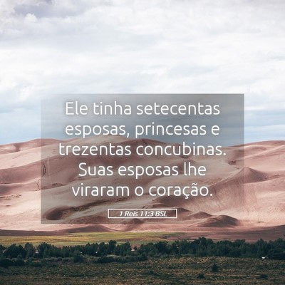 Picture 05 - 1 Reis 11:3 BSL - Ele tinha setecentas esposas, princesas e - Bible Verse Picture