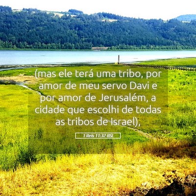 Picture 05 - 1 Reis 11:32 BSL - (mas ele terá uma tribo, por amor de meu servo - Bible Verse Picture