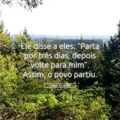 Picture 05 - 1 Reis 12:5 BSL - Ele disse a eles: “Parta por três dias, depois - Bible Verse Picture