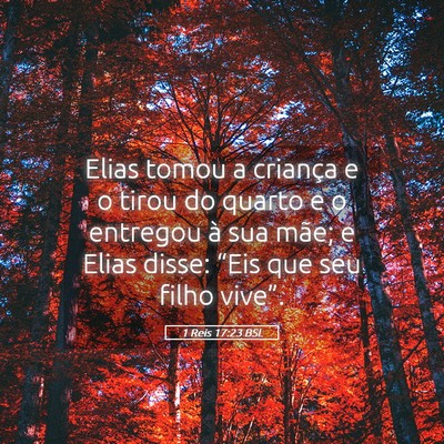 Picture 05 - 1 Reis 17:23 BSL - Elias tomou a criança e o tirou do quarto e o - Bible Verse Picture