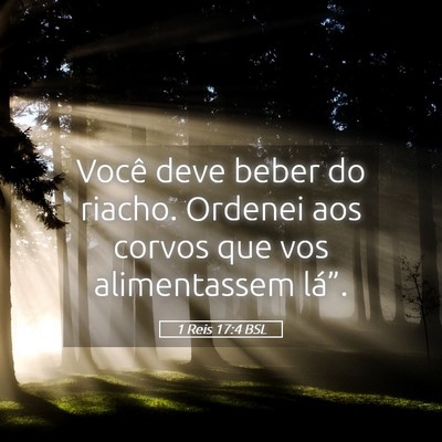Picture 05 - 1 Reis 17:4 BSL - Você deve beber do riacho. Ordenei aos corvos - Bible Verse Picture