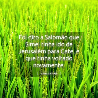 Picture 05 - 1 Reis 2:41 BSL - Foi dito a Salomão que Simei tinha ido de - Bible Verse Picture