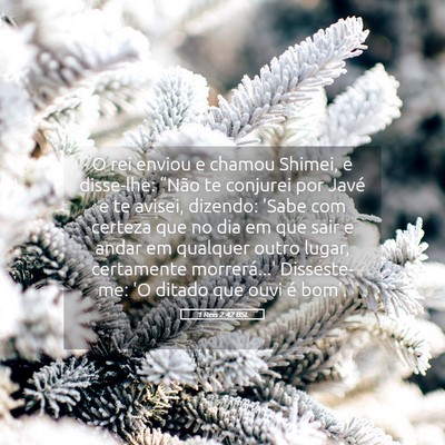 Picture 05 - 1 Reis 2:42 BSL - O rei enviou e chamou Shimei, e disse-lhe: - Bible Verse Picture