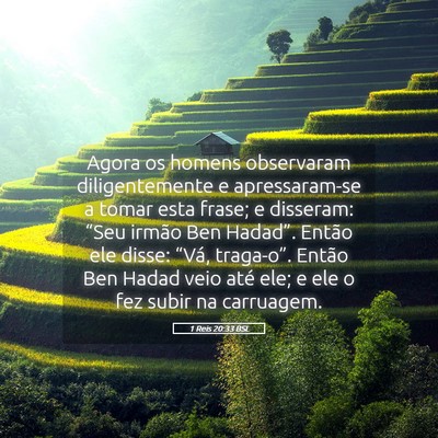 Picture 05 - 1 Reis 20:33 BSL - Agora os homens observaram diligentemente e - Bible Verse Picture