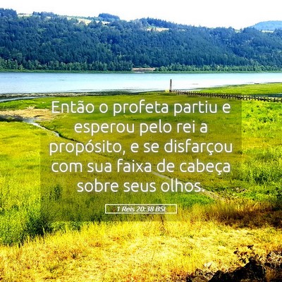 Picture 05 - 1 Reis 20:38 BSL - Então o profeta partiu e esperou pelo rei a - Bible Verse Picture