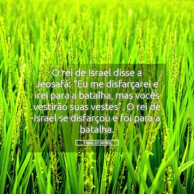 Picture 05 - 1 Reis 22:30 BSL - O rei de Israel disse a Jeosafá: “Eu me - Bible Verse Picture